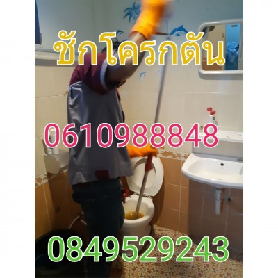 ชักโครกตัน